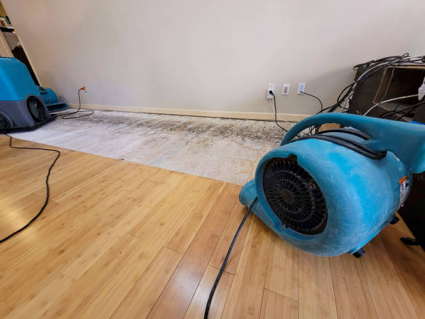 Professional Burst Pipe Water Damage technician working in Mount Rainier, MD